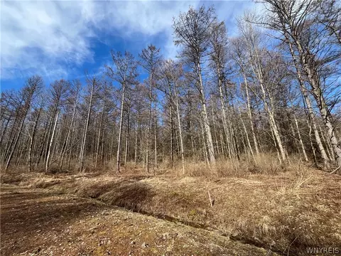 Tbb Lot #1 42 Degrees North, Ellicottville, NY 14731
