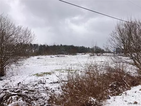 2858 Shirley Rd, North Collins, NY 14111