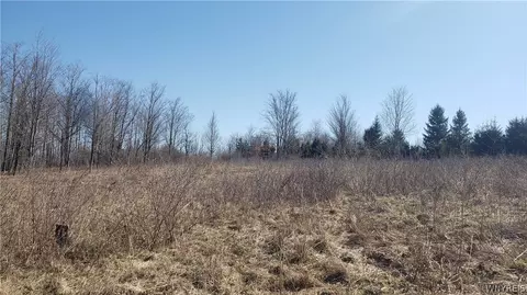 5708 Cole Rd, Ashford, NY 14171