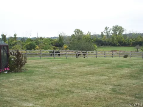 Exterior - 4018 Retsof Rd, Piffard, NY 14533 photo 7 of 11