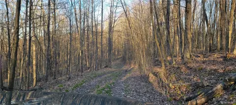 2822 Apple Tree Rd, Clarksville, NY 14715