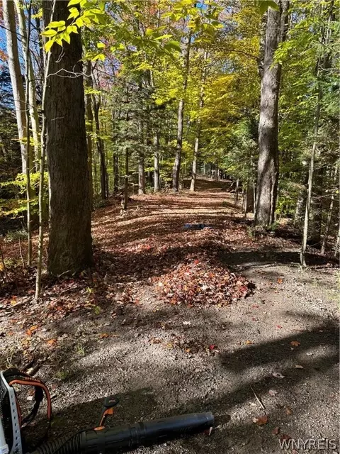 21 Hemlock Rd, Sheldon, NY 14167 photo 39