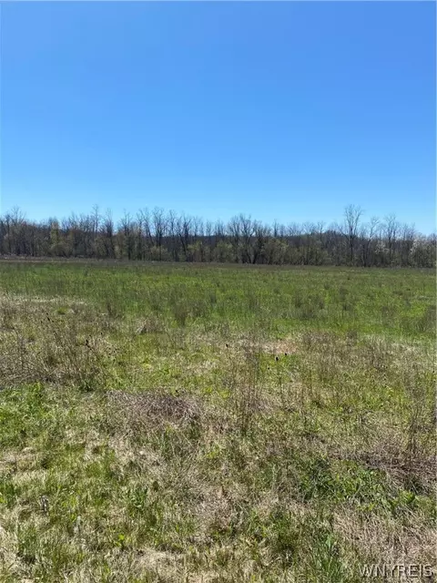 Vl Purdy Road, Lockport-town, NY 14094