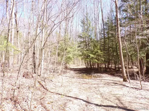 0 Yeager Hill Rd, Scio, NY 14880