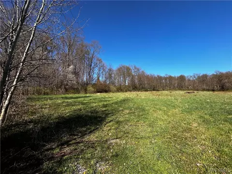 V/l Route 219, Ashford, NY 14171