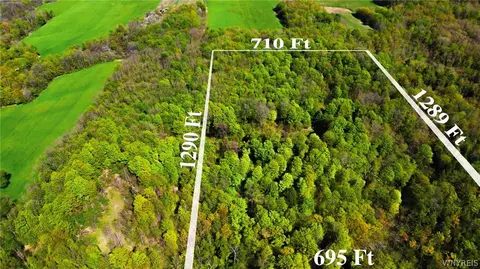 V/l County Line Road, Perrysburg, NY 14129