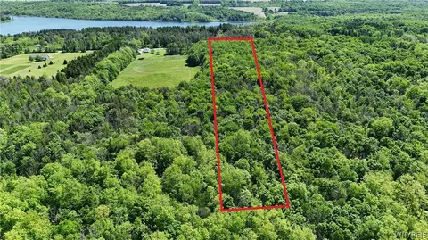 V/l Nesbitt Road, Orangeville, NY 14011