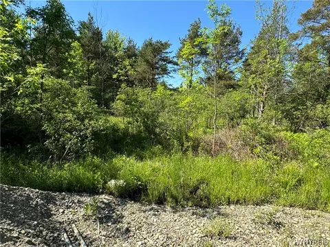 Vl Backus Road, Evans, NY 14047 photo 5