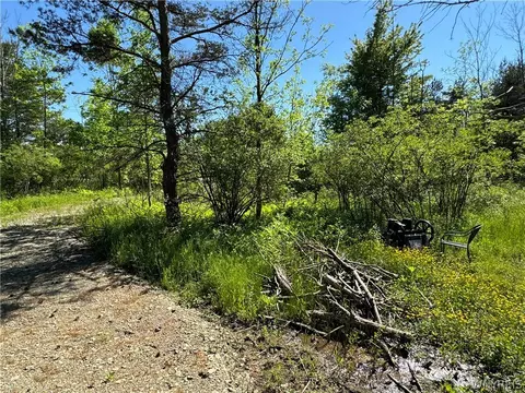 Vl Backus Road, Evans, NY 14047 photo 10