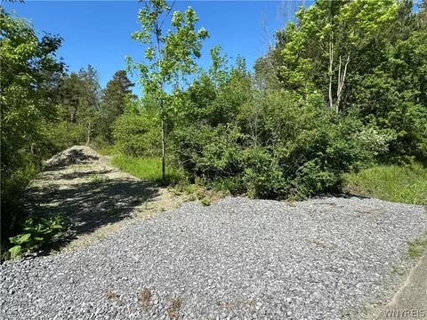 Vl Backus Road, Evans, NY 14047 photo 3