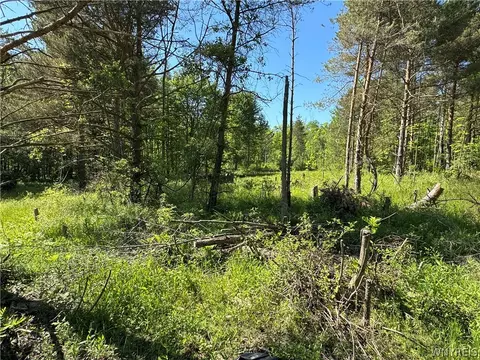 Vl Backus Road, Evans, NY 14047 photo 9