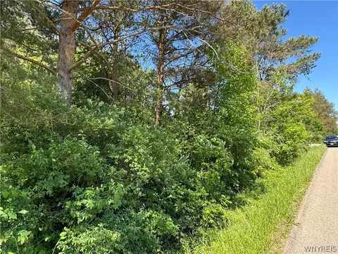 Vl Backus Road, Evans, NY 14047 photo 4