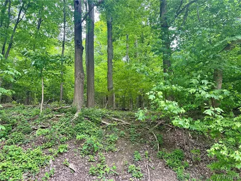 0 Warner Hill Rd, Wales, NY 14139
