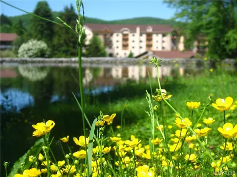 6447 Holiday Valley Road Holiday Valley Rd #414/416-2, Ellicottville, NY 14731