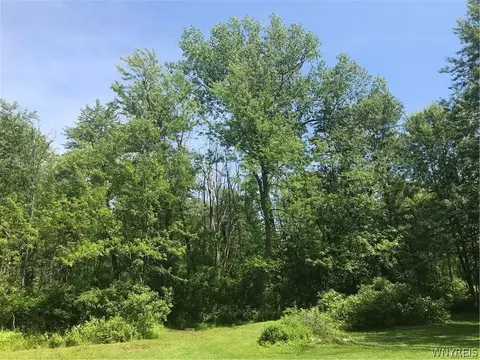 Vl Maple Road, Newstead, NY 14001