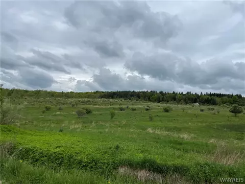 1795 Healy Rd, Lyndon, NY 14737