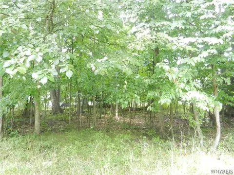 9815 Redwing St, Evans, NY 14006 photo 2