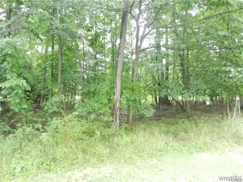 9815 Redwing St, Evans, NY 14006 photo 5
