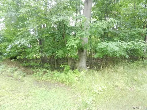 9815 Redwing St, Evans, NY 14006 photo 7