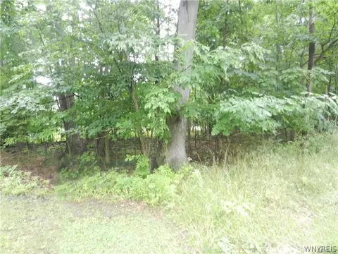 9815 Redwing St, Evans, NY 14006 photo 3