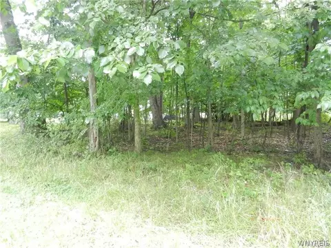 9815 Redwing St, Evans, NY 14006