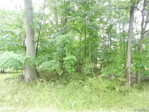 9815 Redwing St, Evans, NY 14006 photo 4