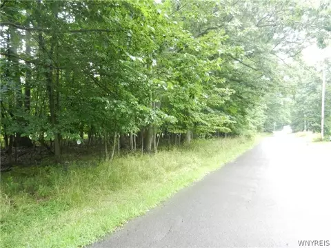 9815 Redwing St, Evans, NY 14006 photo 6