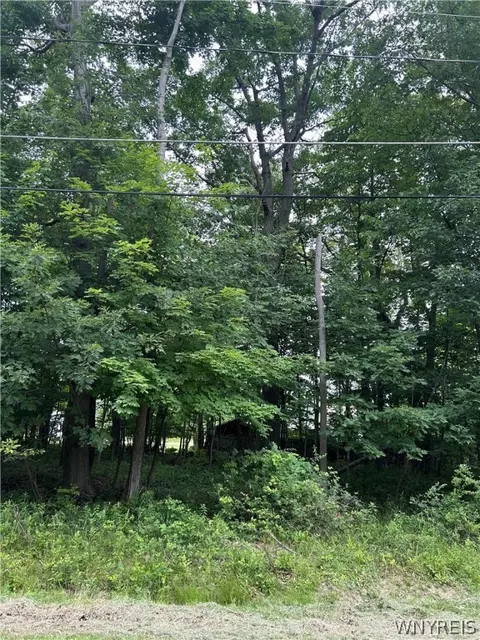 198 Rosewood Ave, Evans, NY 14006