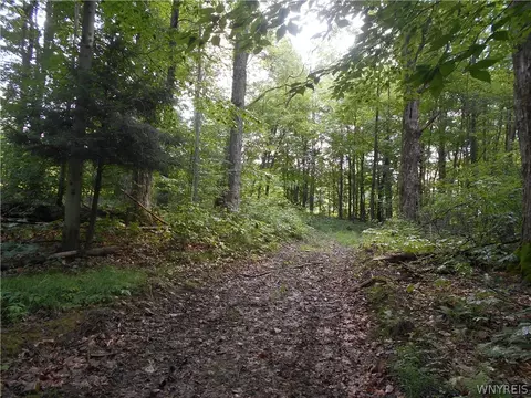 2511 Cutting Rd, Farmersville, NY 14042 photo 47