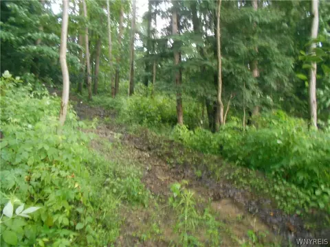 2511 Cutting Rd, Farmersville, NY 14042 photo 34
