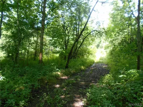 2511 Cutting Rd, Farmersville, NY 14042 photo 30