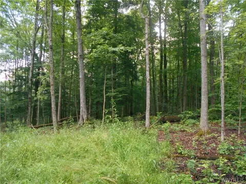 2511 Cutting Rd, Farmersville, NY 14042 photo 49