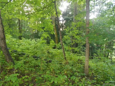 2511 Cutting Rd, Farmersville, NY 14042 photo 36