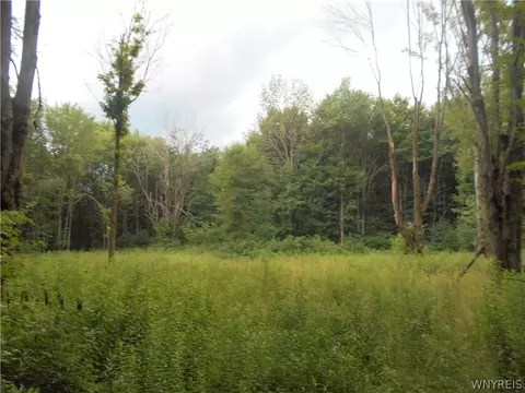 2511 Cutting Rd, Farmersville, NY 14042 photo 19