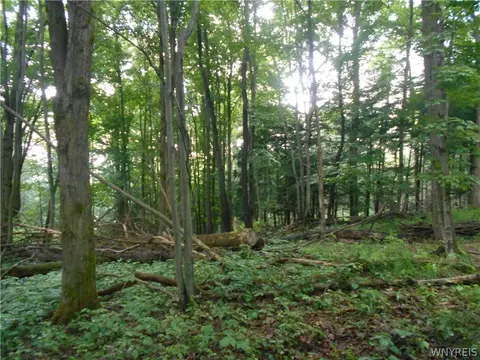 2511 Cutting Rd, Farmersville, NY 14042 photo 40