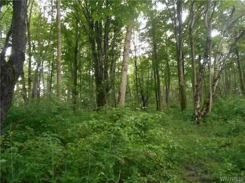 2511 Cutting Rd, Farmersville, NY 14042 photo 38