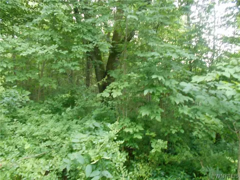 2511 Cutting Rd, Farmersville, NY 14042 photo 5