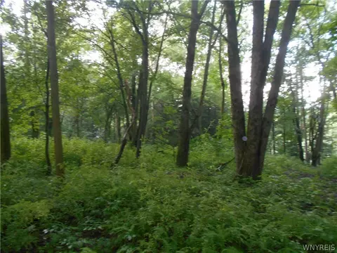 2511 Cutting Rd, Farmersville, NY 14042 photo 37