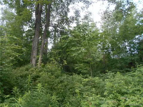 2511 Cutting Rd, Farmersville, NY 14042 photo 9