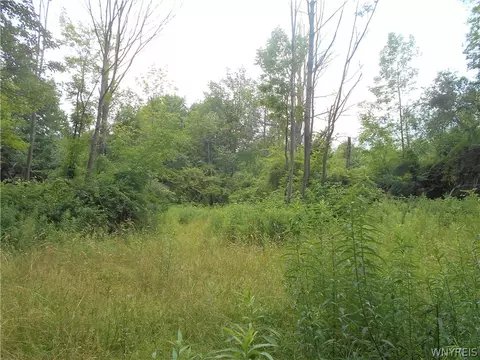 2511 Cutting Rd, Farmersville, NY 14042 photo 4