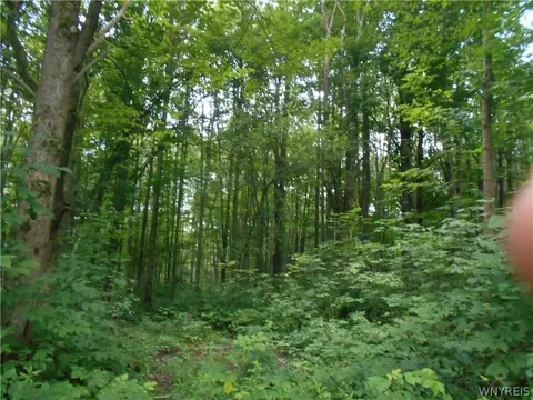 2511 Cutting Rd, Farmersville, NY 14042 photo 14