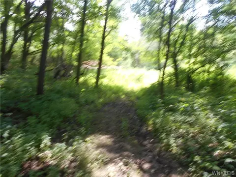2511 Cutting Rd, Farmersville, NY 14042 photo 31