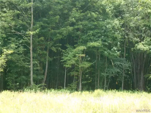 2511 Cutting Rd, Farmersville, NY 14042 photo 24