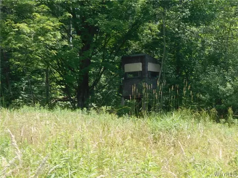 2511 Cutting Rd, Farmersville, NY 14042 photo 23