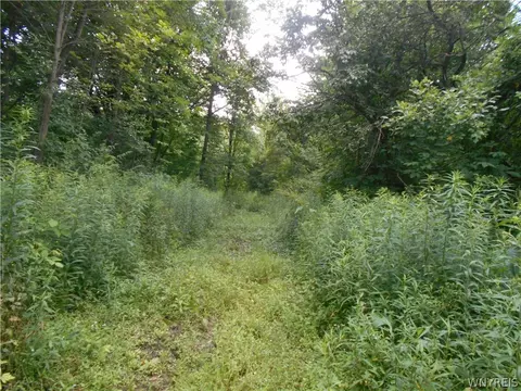 2511 Cutting Rd, Farmersville, NY 14042 photo 2