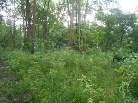 2511 Cutting Rd, Farmersville, NY 14042 photo 33