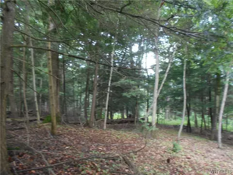 2511 Cutting Rd, Farmersville, NY 14042 photo 50