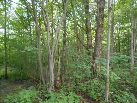 2511 Cutting Rd, Farmersville, NY 14042 photo 21