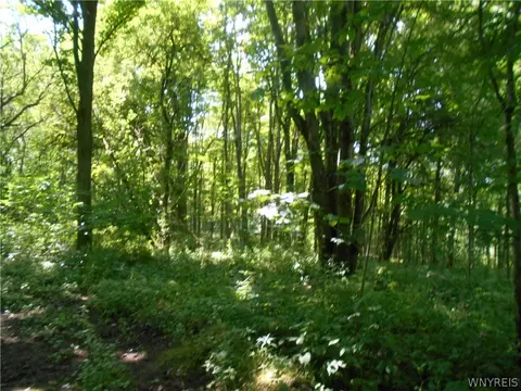 2511 Cutting Rd, Farmersville, NY 14042 photo 28