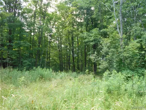 2511 Cutting Rd, Farmersville, NY 14042 photo 32